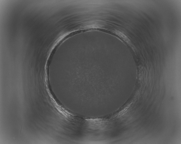 X0000058101031200509230954