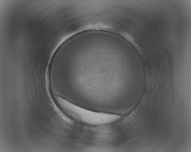 X0000058101032200509230954