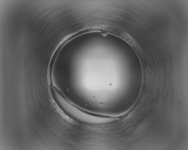 X0000058101036200509230954