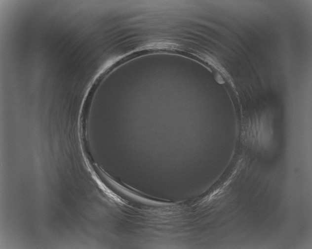 X0000058101037200509230954