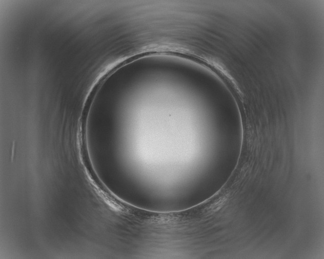 X0000058101040200509230954