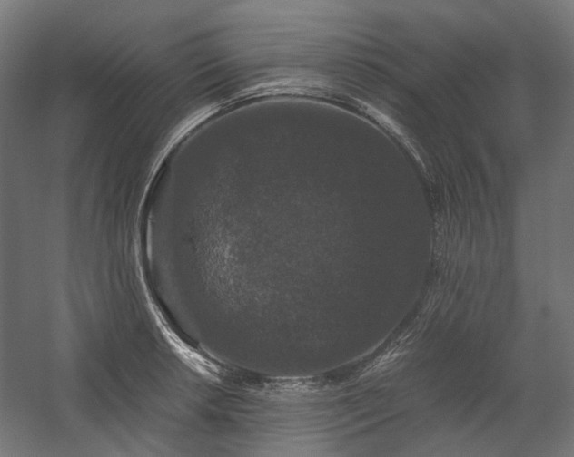 X0000058101042200509230954