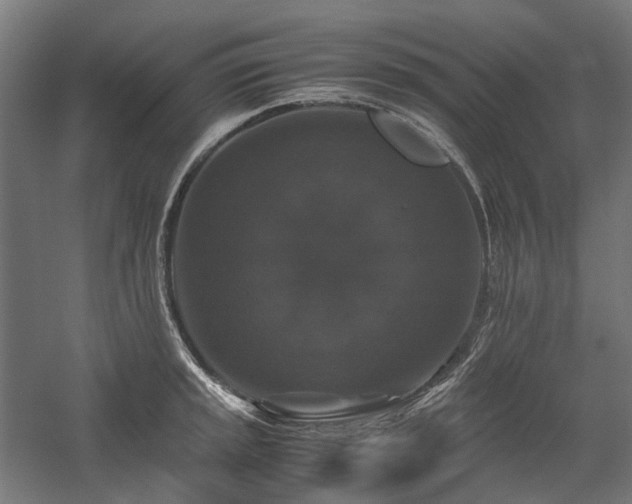 X0000058101045200509230954