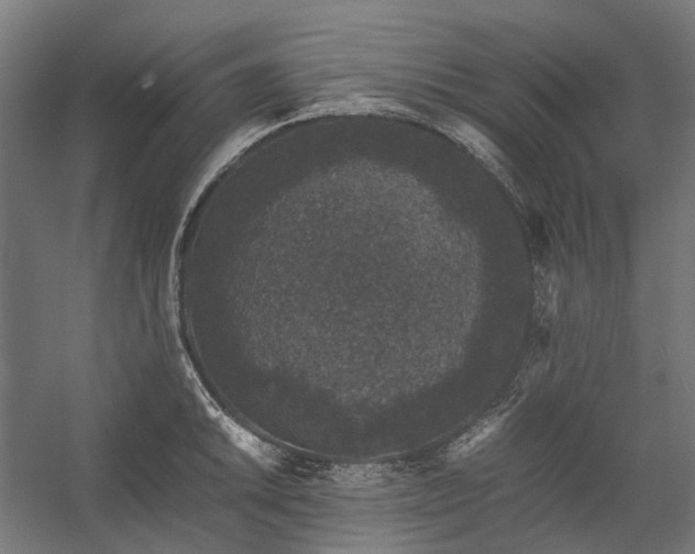 X0000058101046200509230954