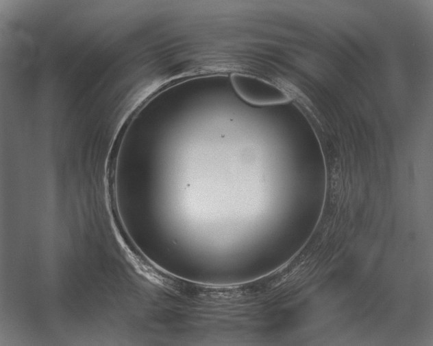 X0000058101047200509230954