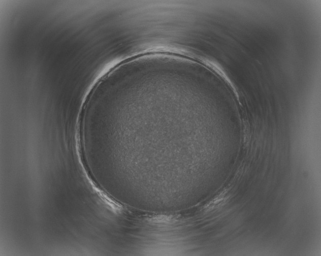 X0000058101048200509230955