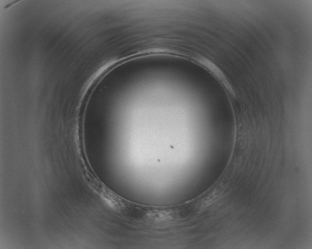 X0000058101051200509230955