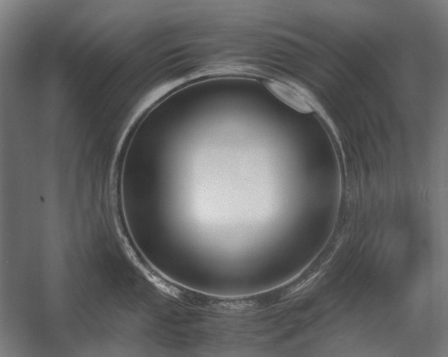 X0000058101053200509230955