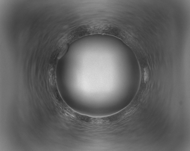X0000058101059200509230954