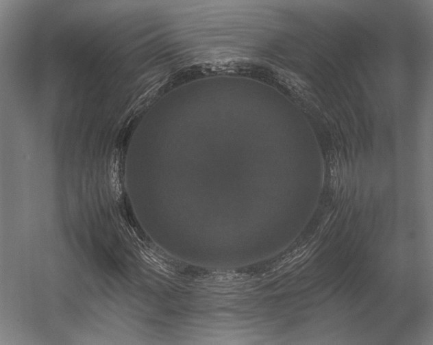 X0000058101060200509230954