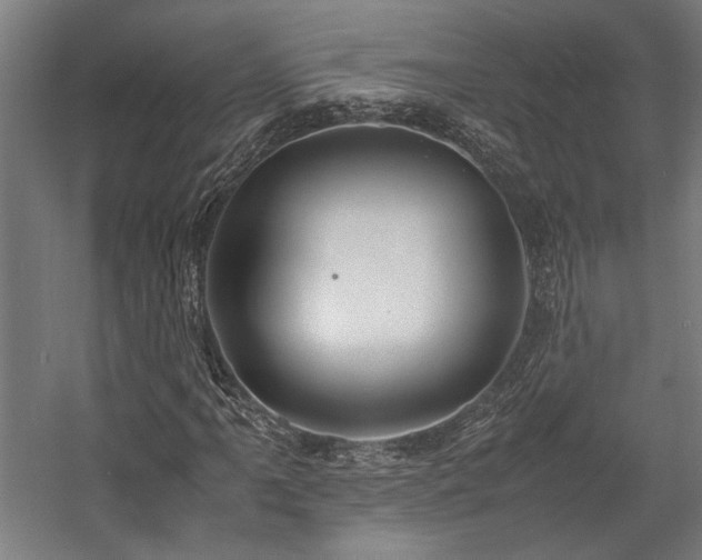 X0000058101061200509230954