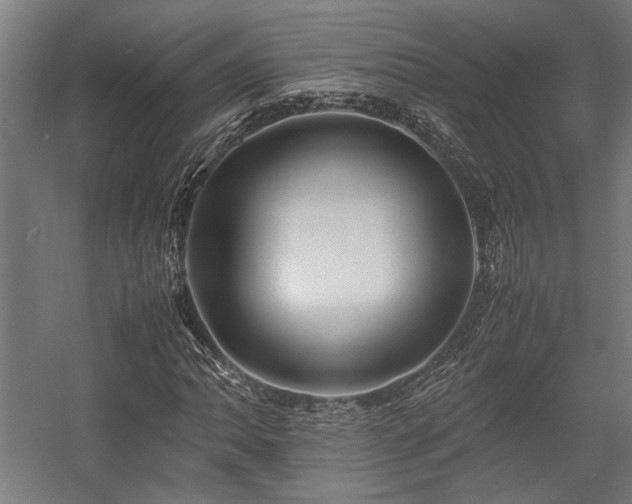 X0000058101062200509230954