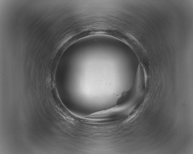 X0000058101065200509230954