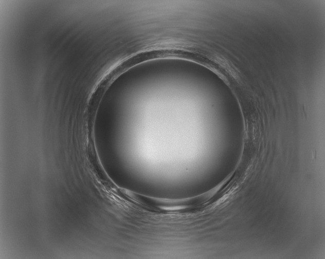 X0000058101069200509230954