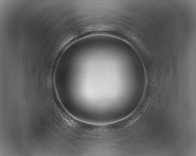 X0000058101073200509230954