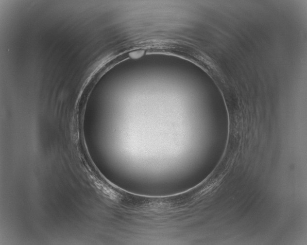 X0000058101075200509230954