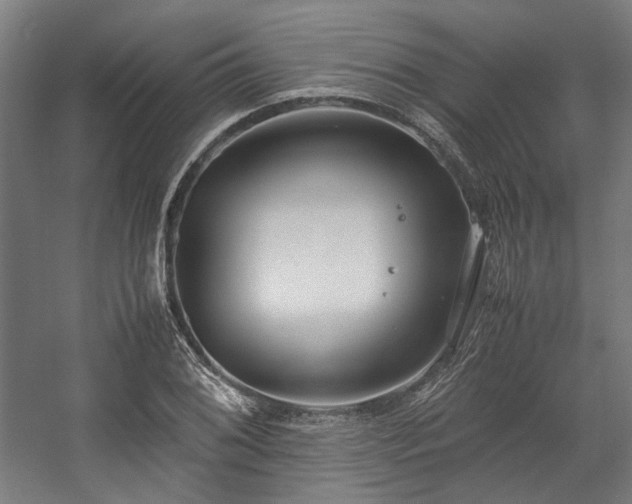 X0000058101076200509230954