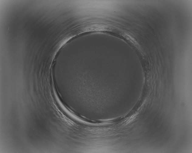 X0000058101081200509230953