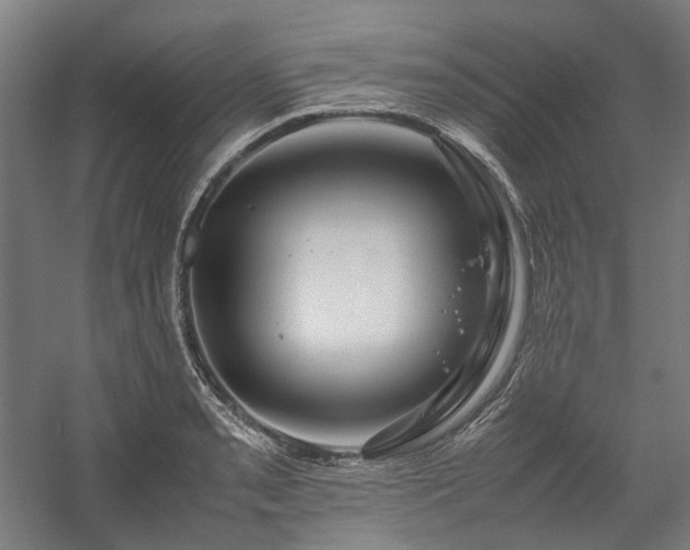 X0000058101085200509230953