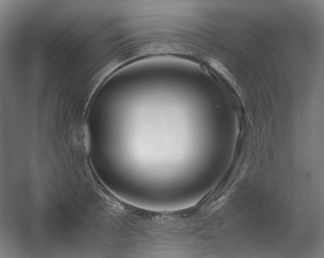 X0000058101089200509230953