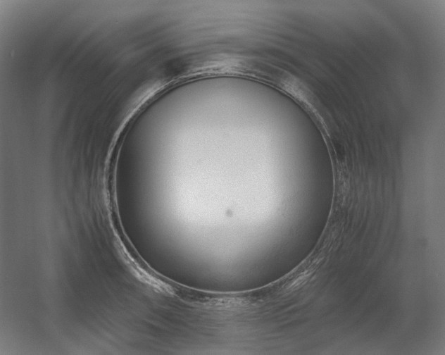 X0000058101090200509230953