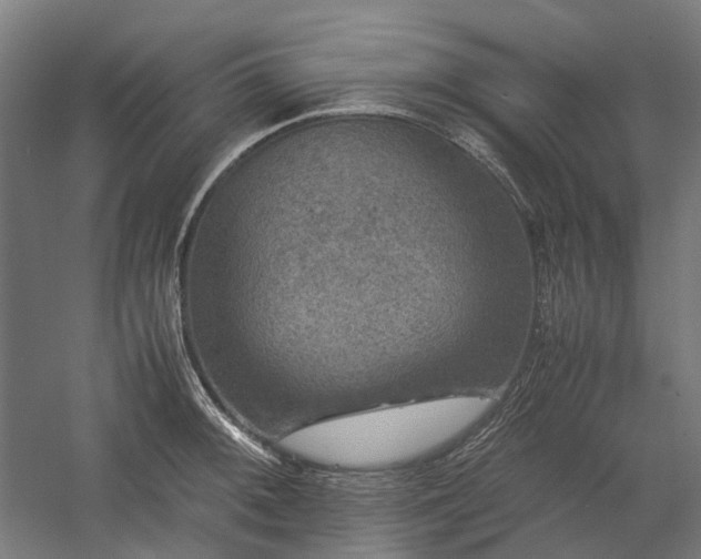 X0000058101092200509230953