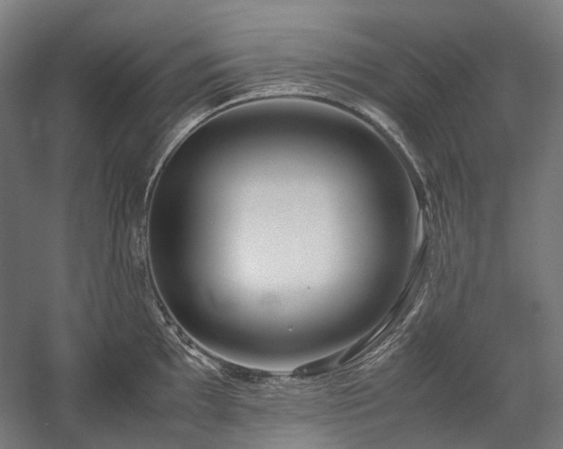 X0000058101097200509230953