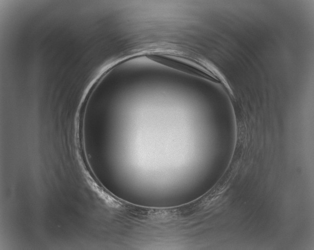 X0000058101099200509230953