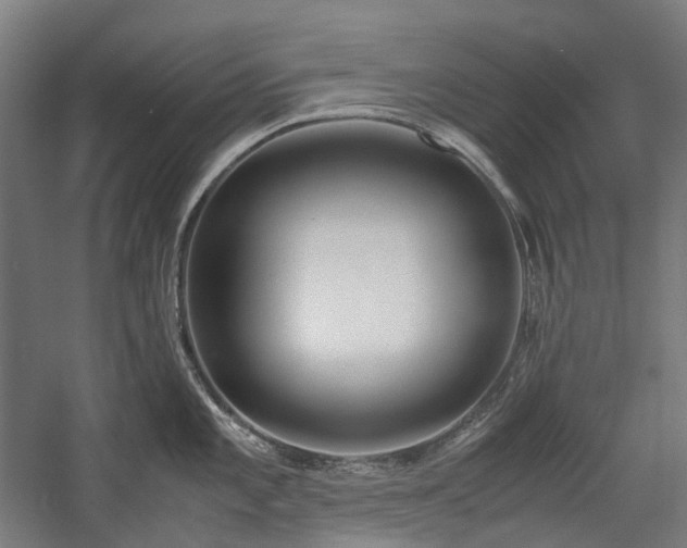 X0000058101101200509230953