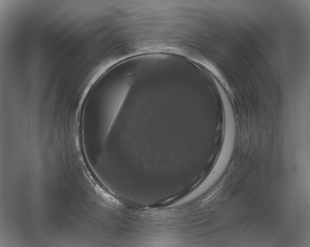 X0000058101102200509230953