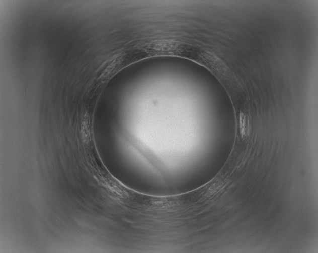 X0000058101107200509230952