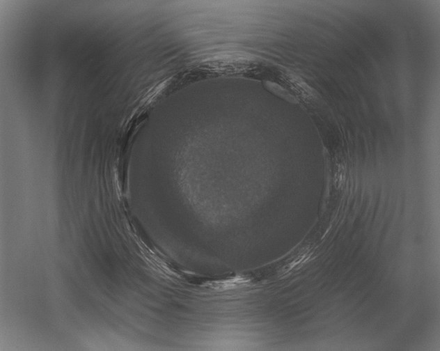 X0000058101108200509230952