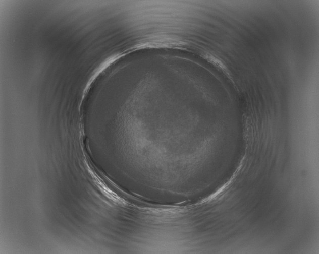 X0000058101114200509230952