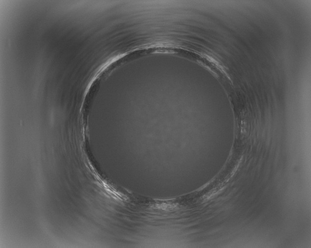 X0000058101117200509230952