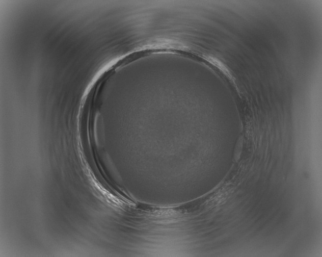X0000058101120200509230952