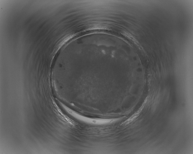 X0000058101121200509230952