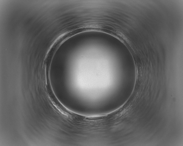 X0000058101123200509230953