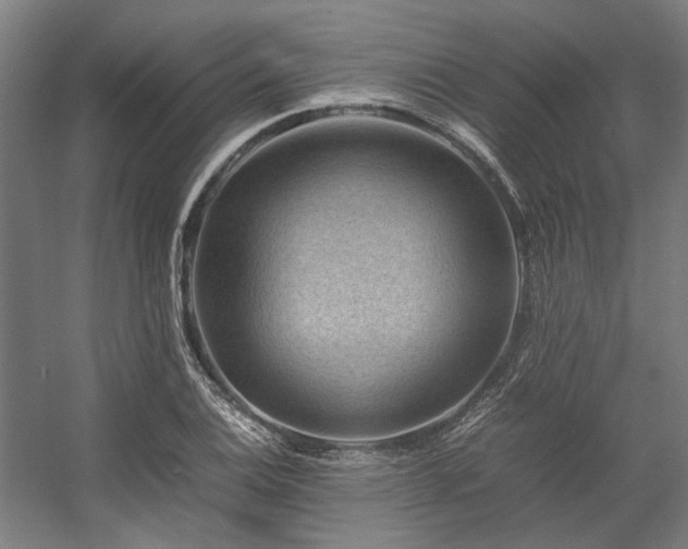 X0000058101124200509230953