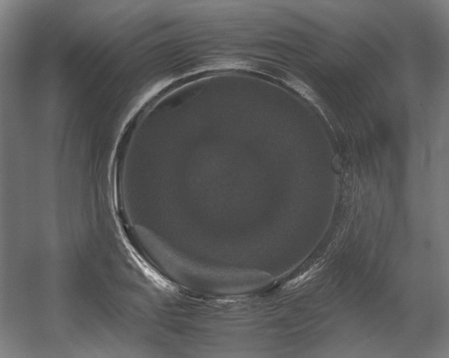 X0000058101127200509230953