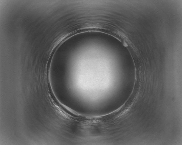 X0000058101129200509230953