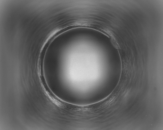 X0000058101131200509230953