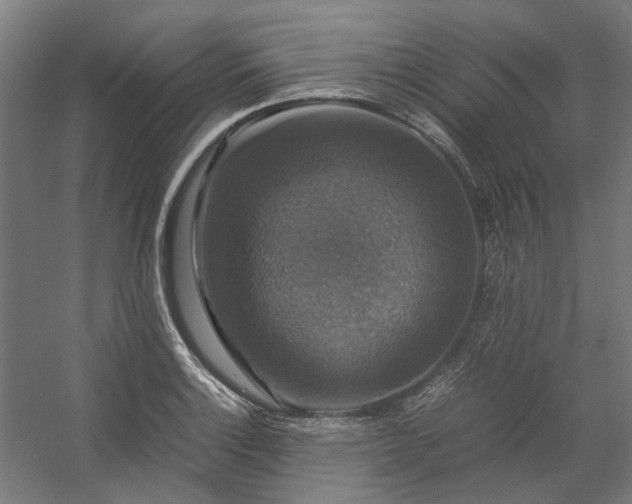 X0000058101132200509230953