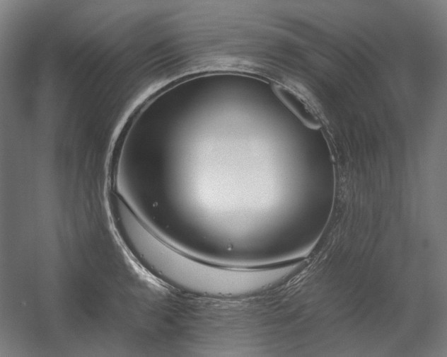 X0000058101136200509230953