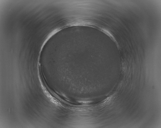 X0000058101138200509230953