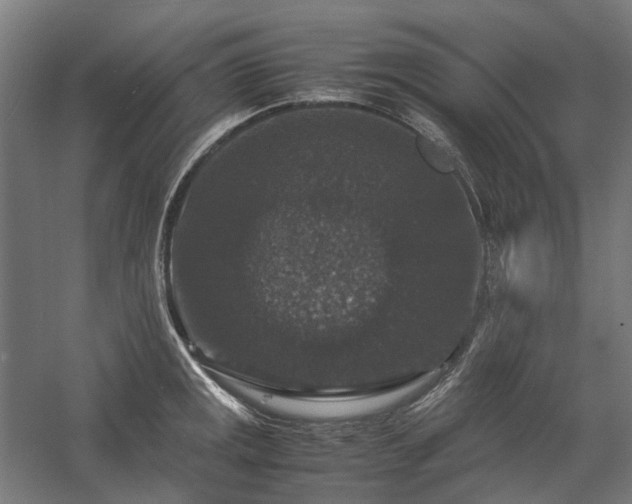 X0000058101141200509230953