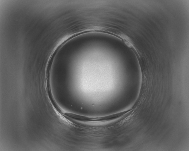 X0000058101143200509230953