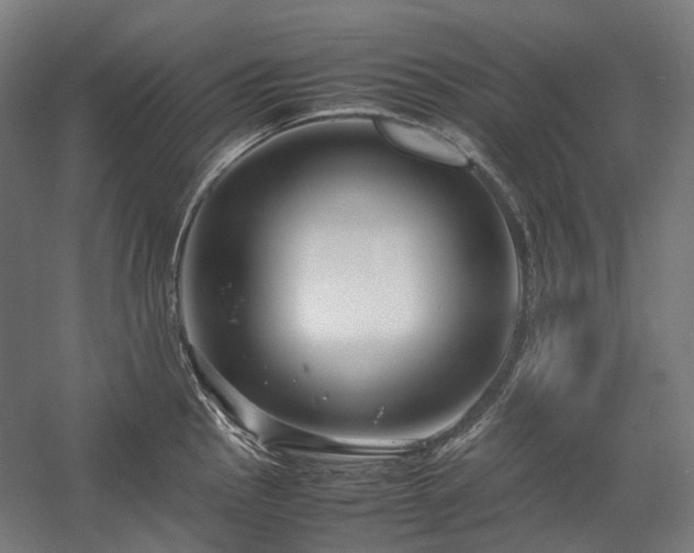 X0000058101145200509230953