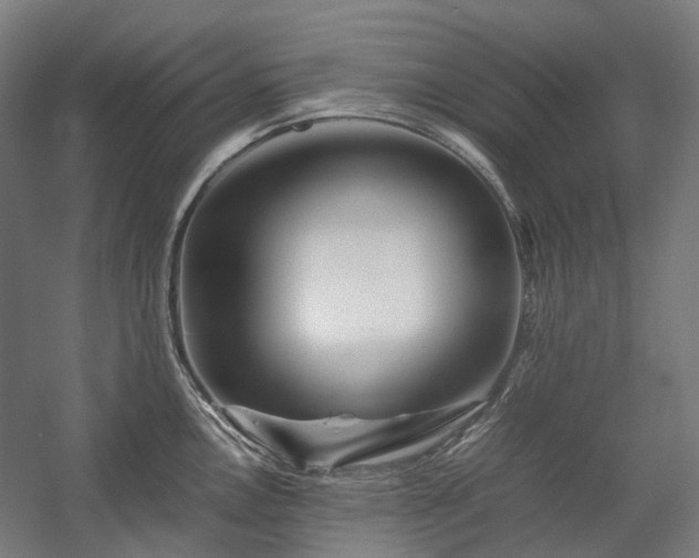 X0000058101146200509230953