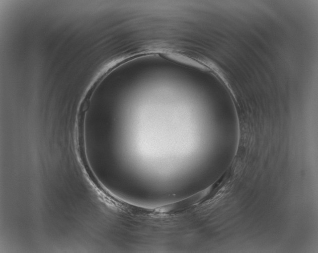 X0000058101147200509230953