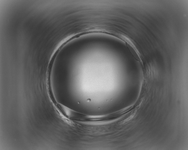 X0000058101149200509230953